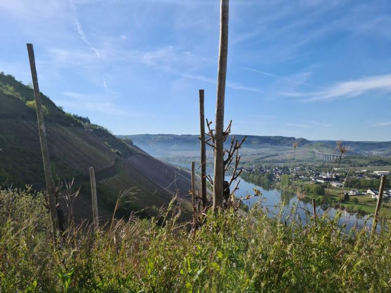 foto13