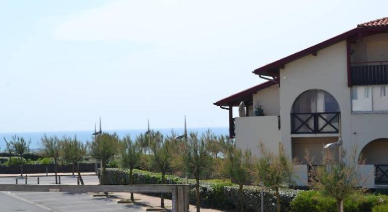 Holiday apartment with pool & terrace in Soorts-Hossegor