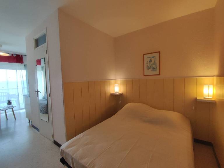 Pleasant T1 near Thermal establishment, pets allowed — photo 4