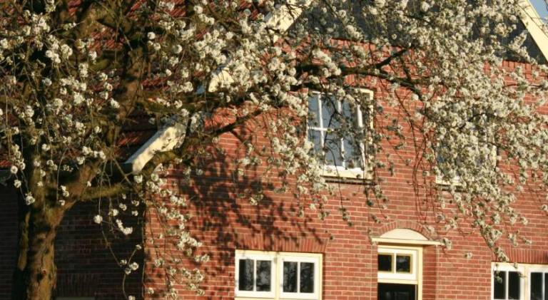 B&B Erve ten Dam