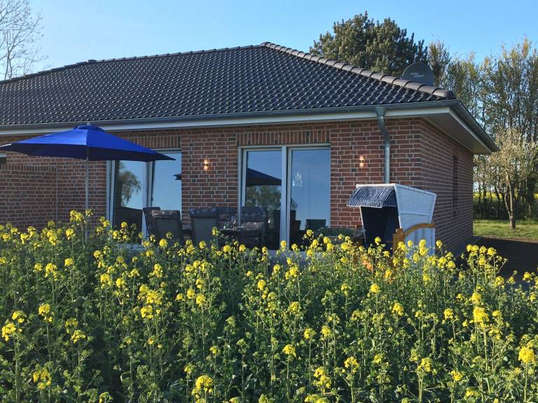 foto20