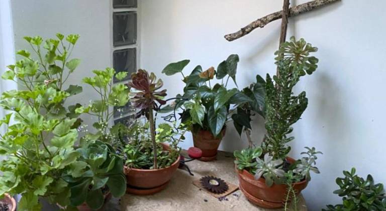 Holiday apartment with yard, patio & barbeque in Évora