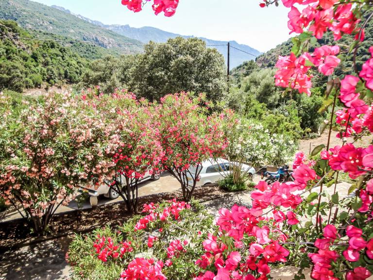 Ferienwohnung in Serriera f&uuml;r max. 4 Personen