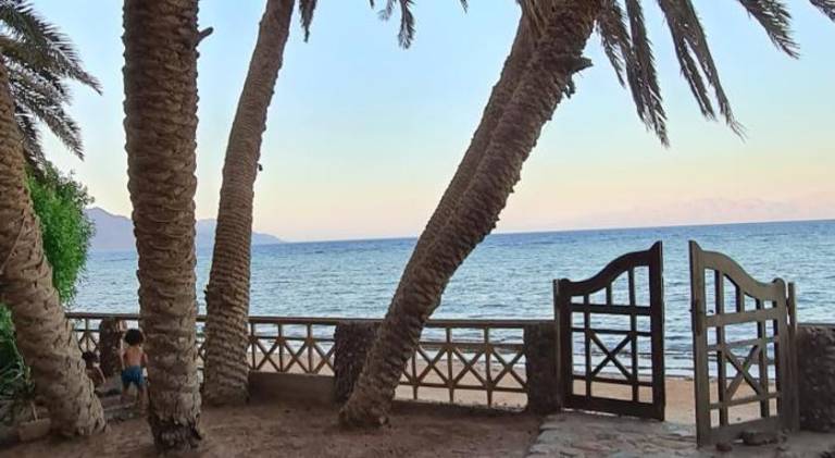 Rental apartment with 1 room for 3 persons in Dahab