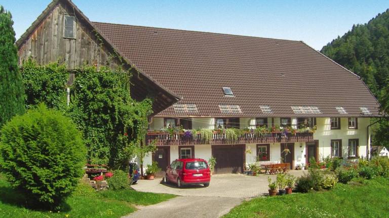 Ferienwohnung Hornberg
