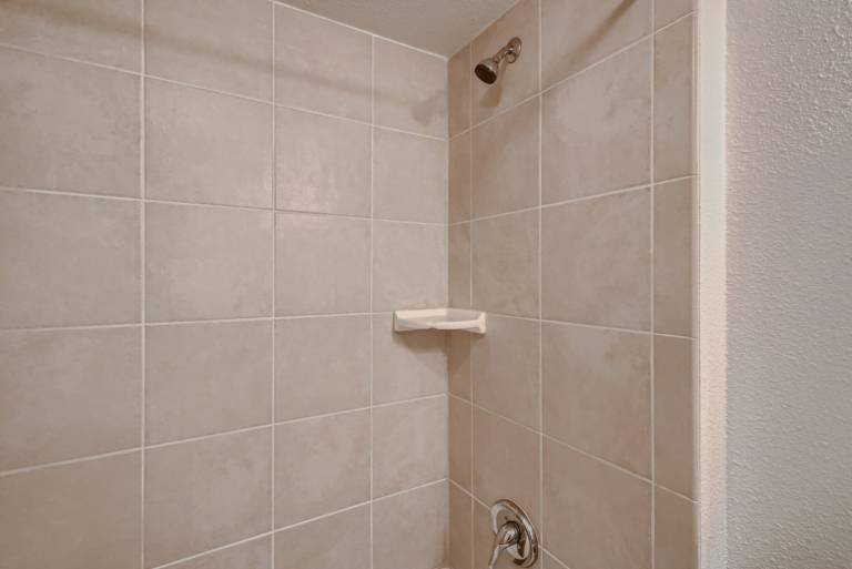 foto19