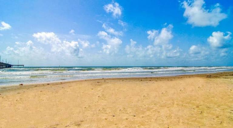 Holiday apartment with pool | Next to the beach | Pets are welcome — photo 4