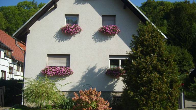 Ferienwohnung  Cursdorf