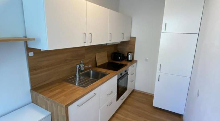 Pleasant rental apartment | Dogs allowed — photo 4