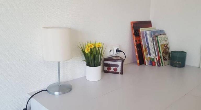foto11