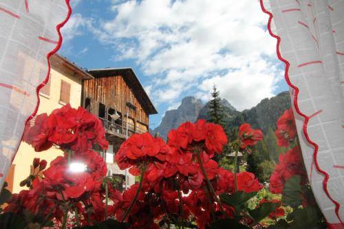 Appartamento Selva di Cadore