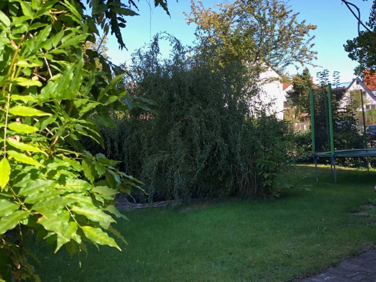 foto3