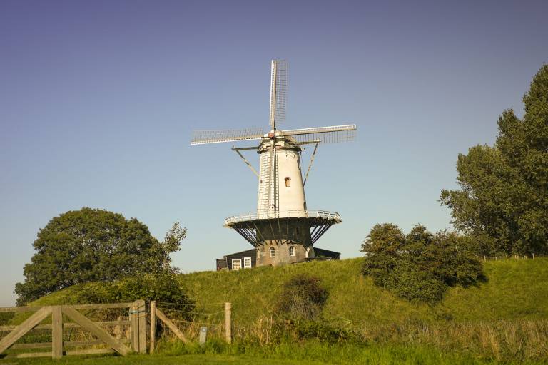 foto28