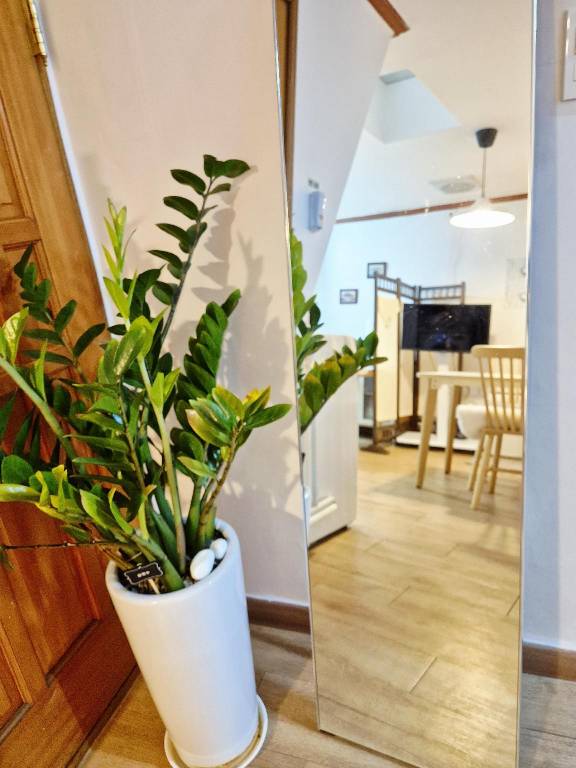 Vacation home | Near Bukchon Hanok Village — photo 3