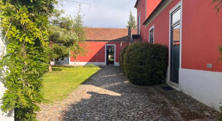 foto48