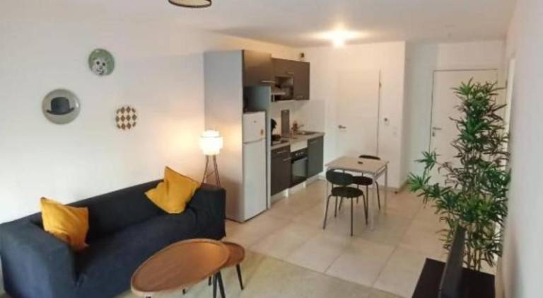 Joli T2 Ensoleille Parking Prive Terrasse -Maconciergerie34 in Montpellier