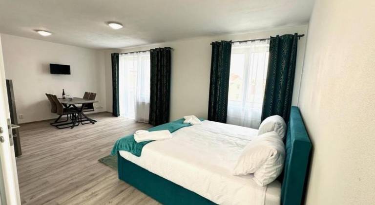 Apartment with 1 room for 2 persons in Plzen