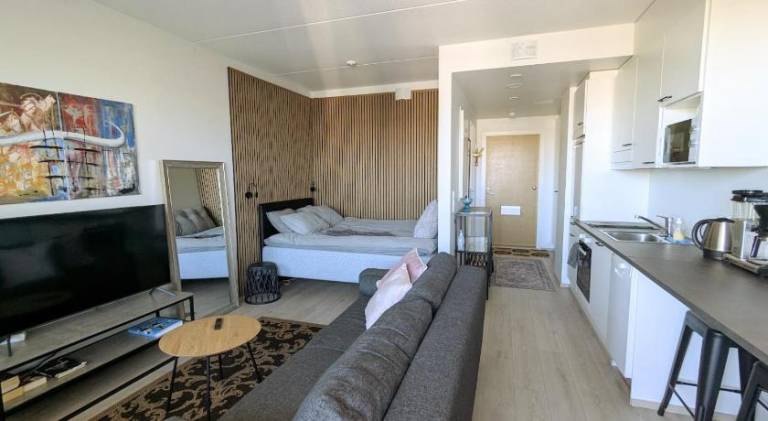 Apartment with 1 room for 4 persons — photo 2