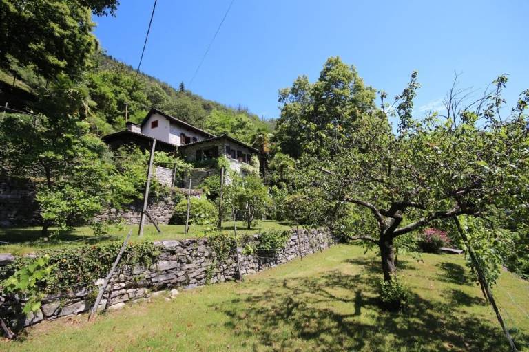 foto3