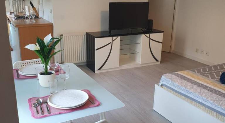 Apartment with 1 room for 3 persons — photo 5