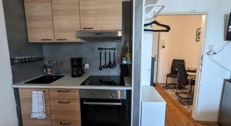 Holiday apartment | Pets allowed in Linz