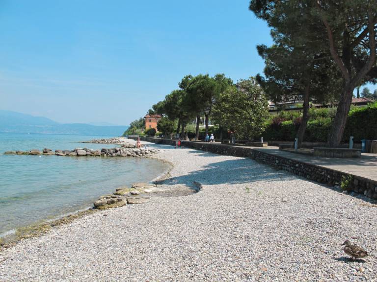 foto6