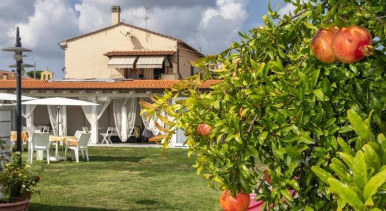 Colorado Home in Pisa