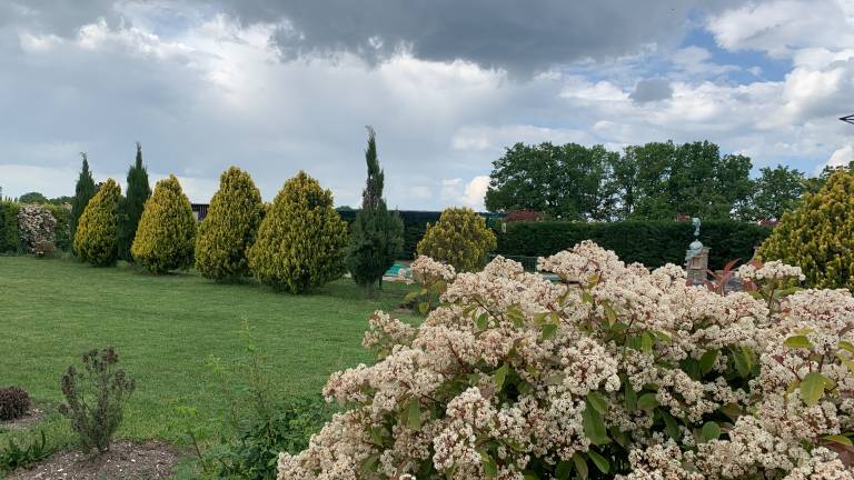 foto14