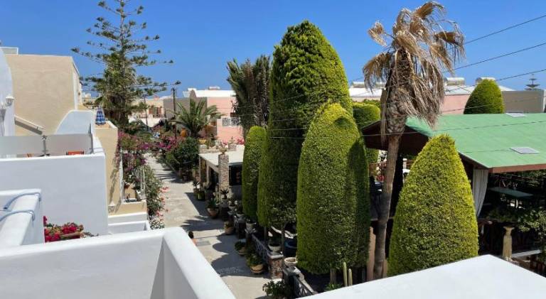 Serviced apartment with terrace & yard | Beach nearby | Dogs allowed — photo 4