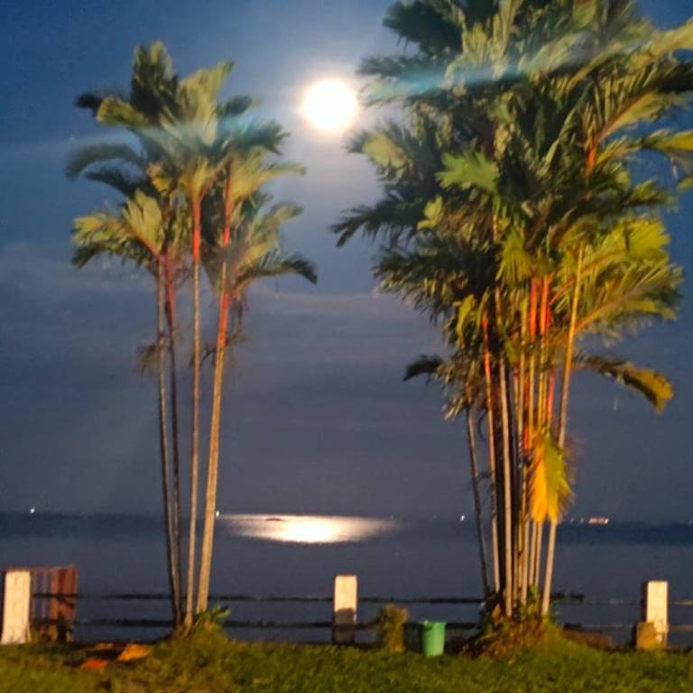 foto43