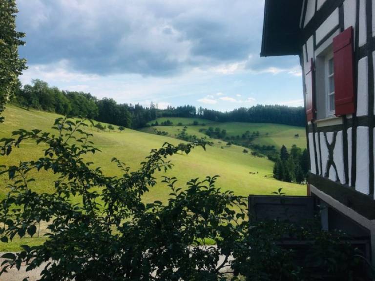 foto15