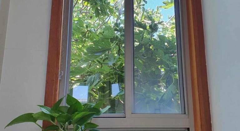 foto37