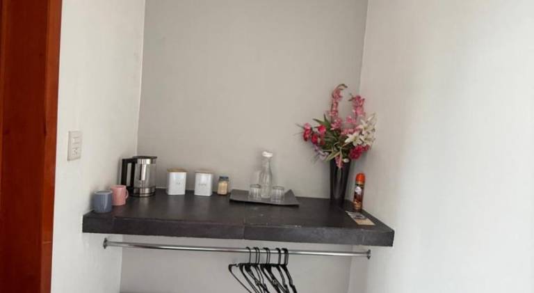 Rental apartment with garden — photo 4