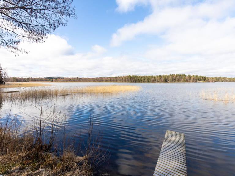 House with sauna | Nature view | Dogs allowed — photo 3