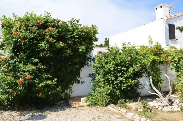 Maison de vacances  Leucate