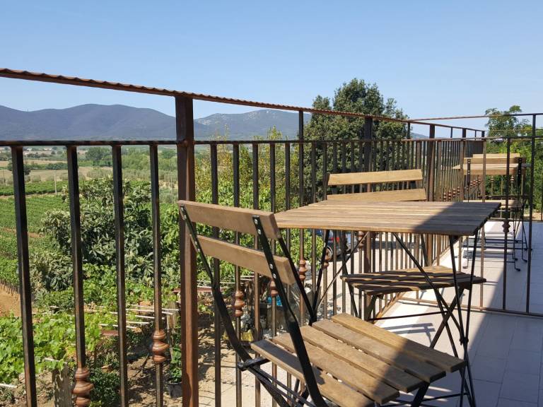 House with terrace, garden & grill in Magliano in Toscana