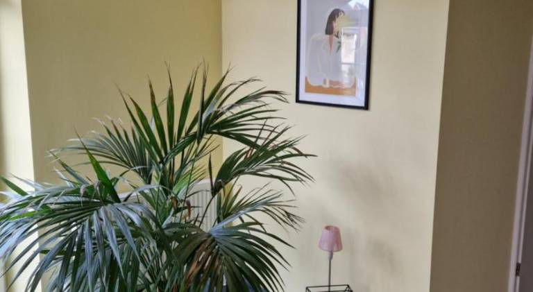 foto7