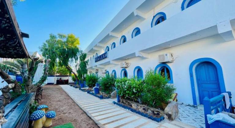 Whales camp dahab — photo 4