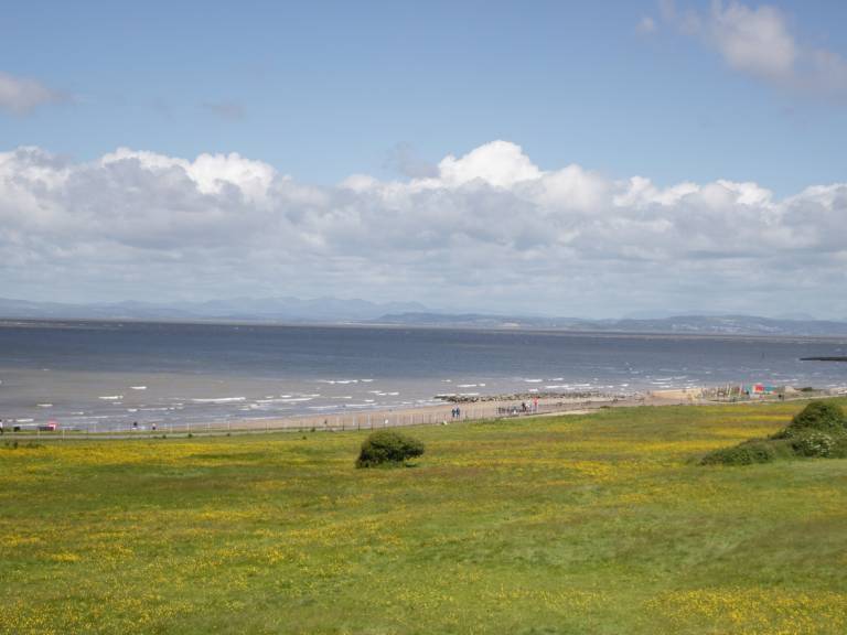 Cottage with yard | Beach view — photo 4