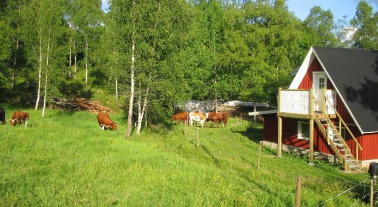 House with 3 rooms for 7 persons — photo 4