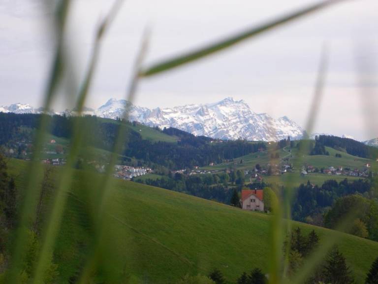 foto1