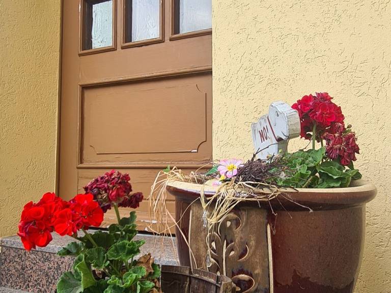 foto22