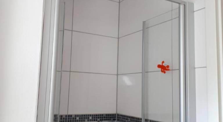 foto36