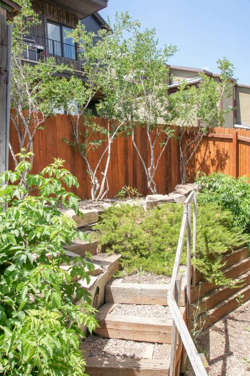 Walking Distance from Downtown - Comfortable, Cozy & Pet Friendly Home! — photo 4