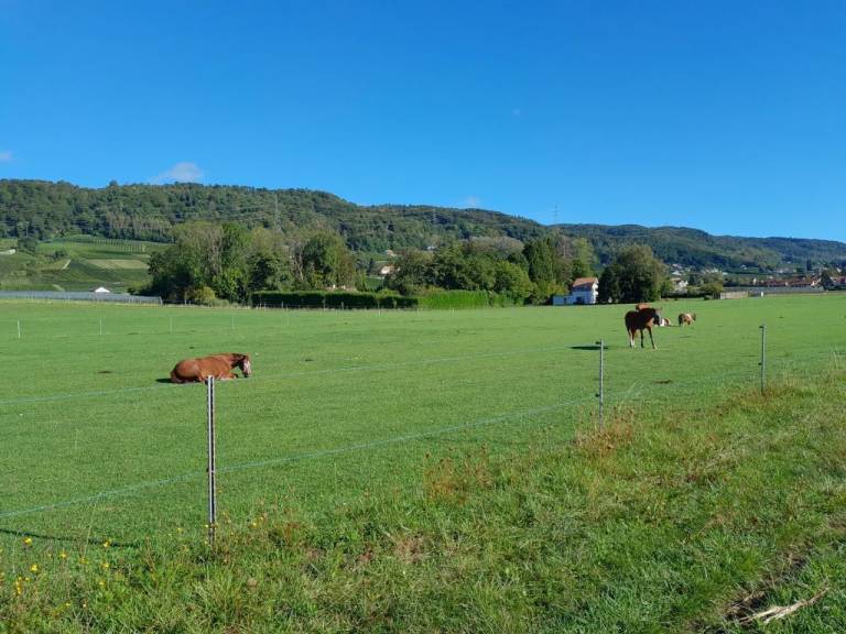foto19