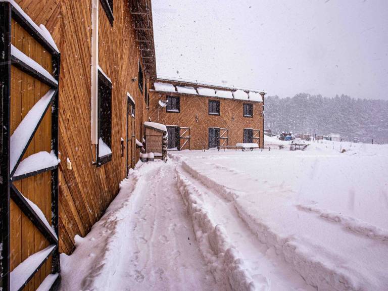 Prestige House on Forest Edge with WIFI and Parking at Les Angles — photo 4