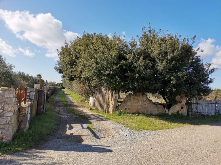 Casa Calasetta