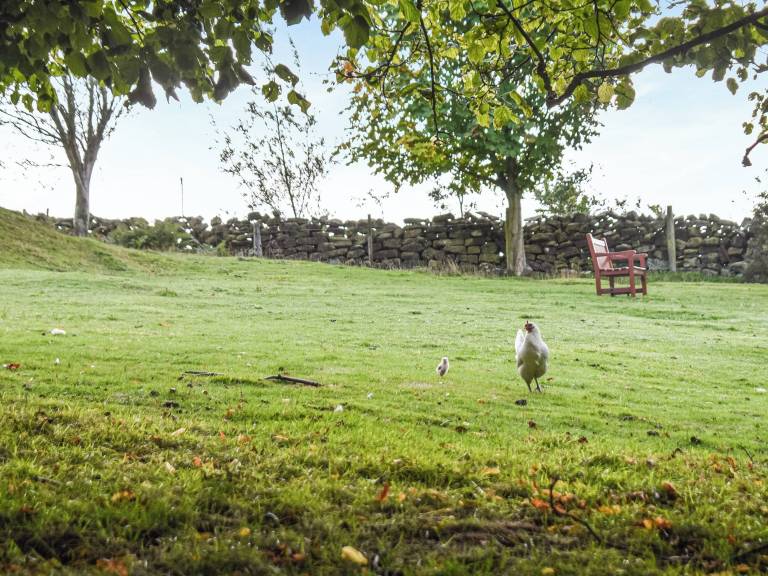 Cottage Commondale