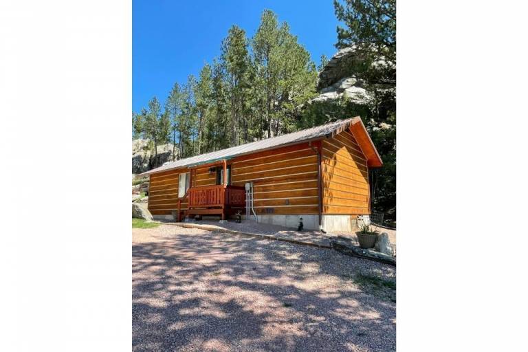 Cabin  Custer