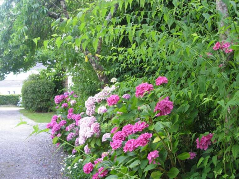 Charming gite with terrace & yard | Dogs allowed — photo 4